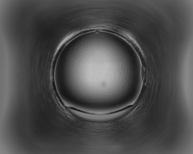 X0000085731328200703231040