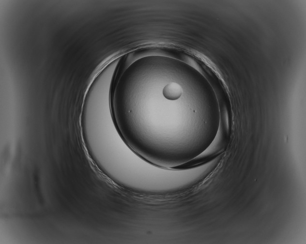 X0000085731330200703231040