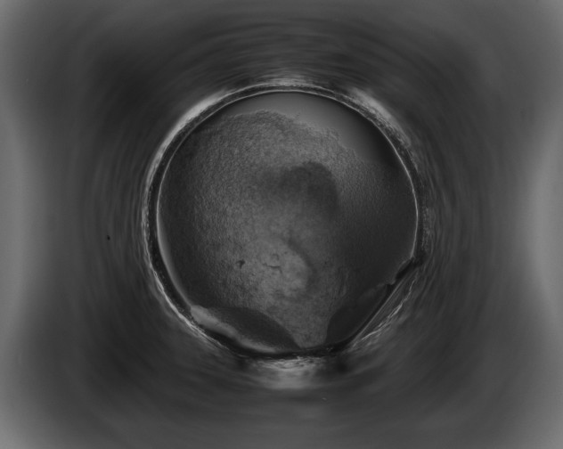 X0000085731331200703231040