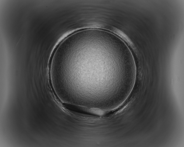 X0000085731332200703231040