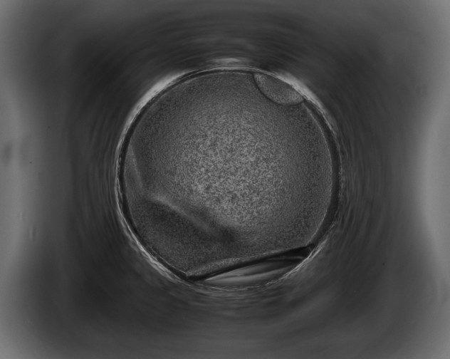 X0000085731333200703231040