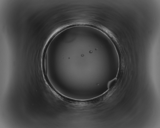 X0000085731334200703231040