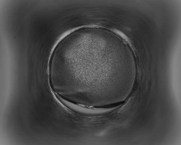 X0000085731335200703231040