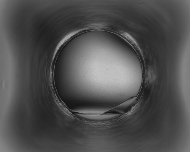 X0000085731336200703231040