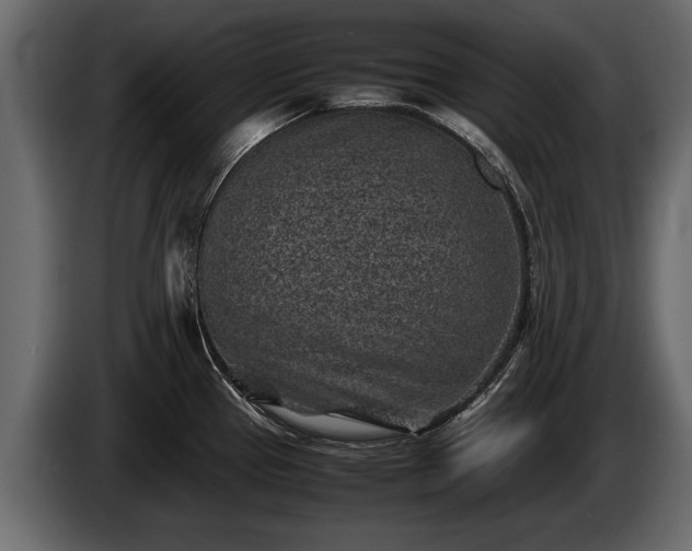 X0000085731337200703231040