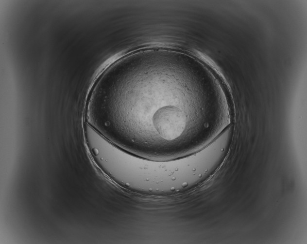 X0000085731338200703231040