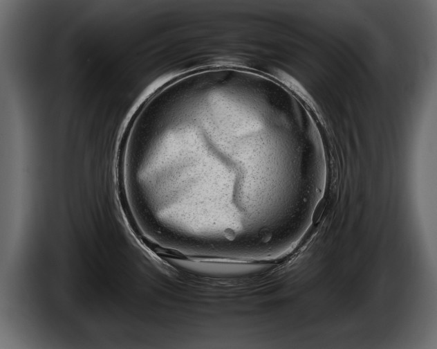 X0000085731339200703231040