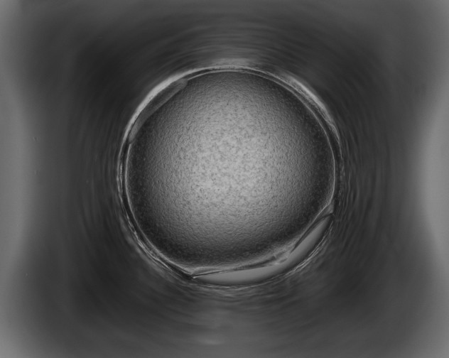 X0000085731340200703231040