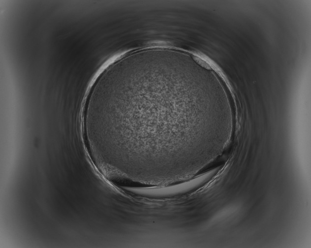 X0000085731341200703231040