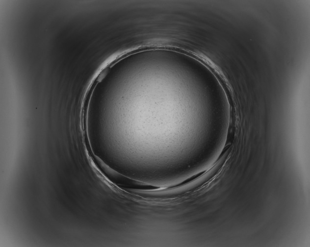 X0000085731342200703231040