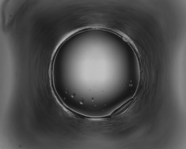 X0000085731343200703231040