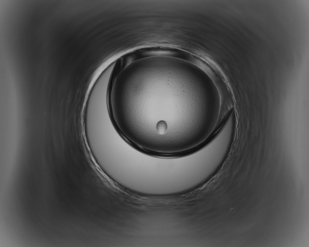 X0000085731344200703231040