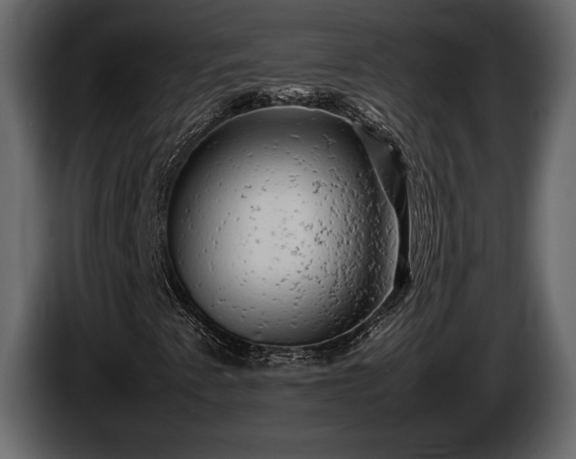 X0000085731345200703231039