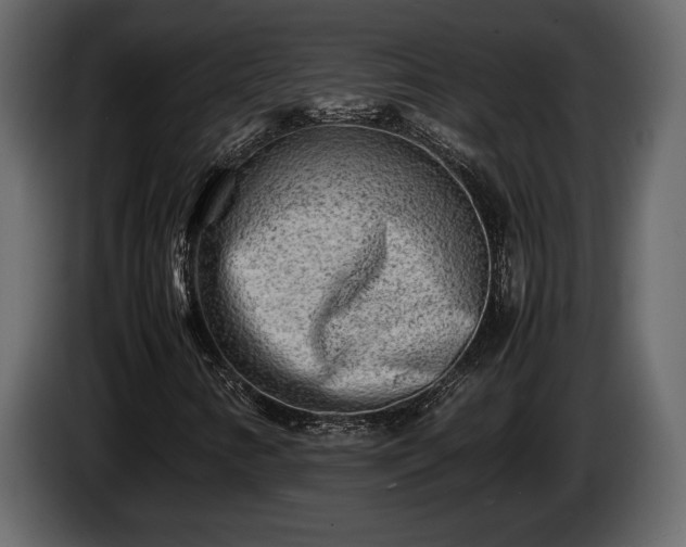 X0000085731346200703231039