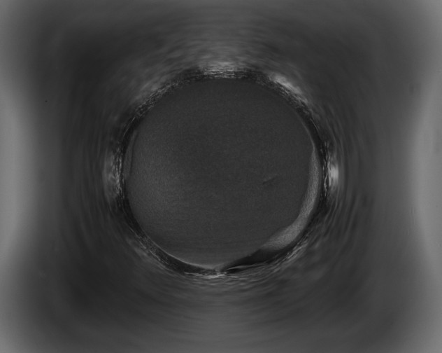 X0000085731348200703231039