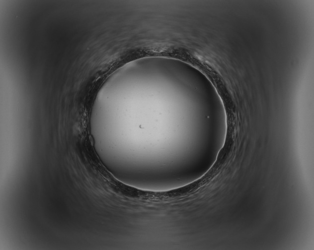 X0000085731349200703231039