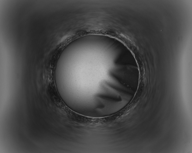 X0000085731350200703231039