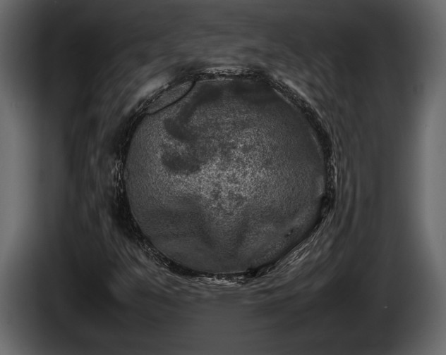 X0000085731351200703231039