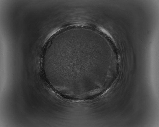 X0000085731352200703231039