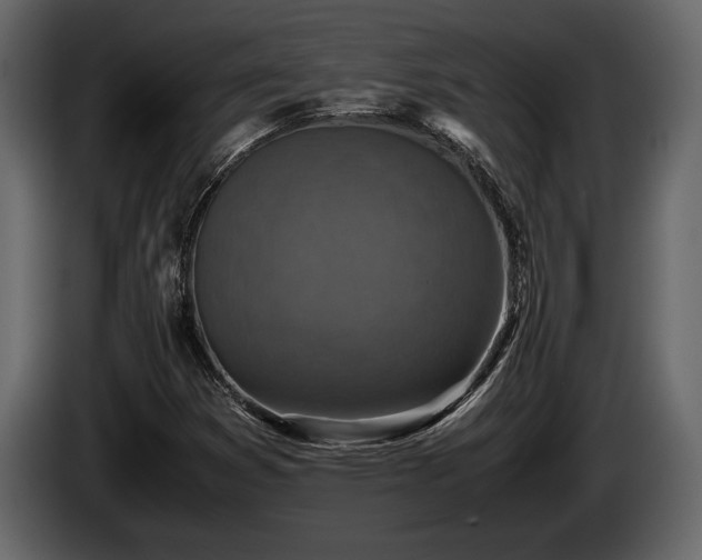 X0000085731353200703231039