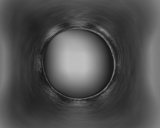 X0000085731354200703231039