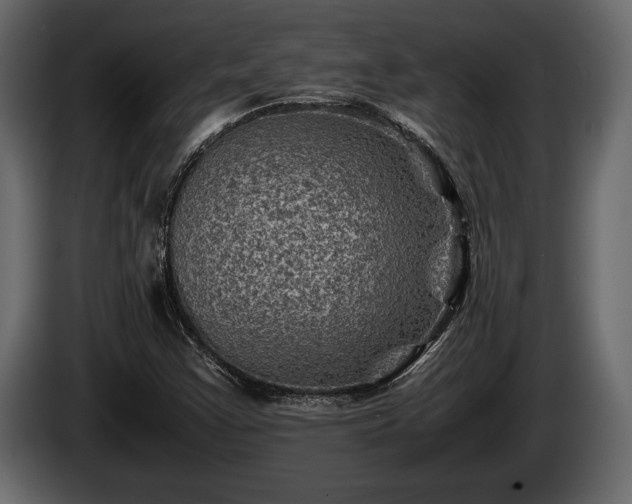 X0000085731355200703231039