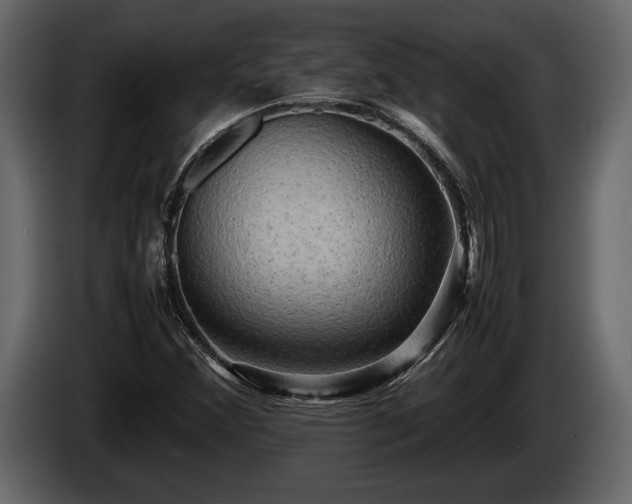 X0000085731356200703231039