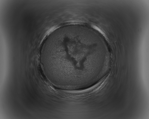 X0000085731357200703231039