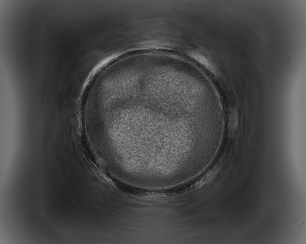 X0000085731358200703231039