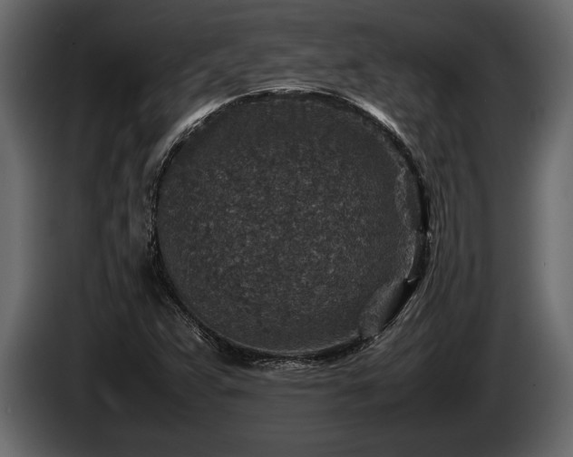 X0000085731359200703231039