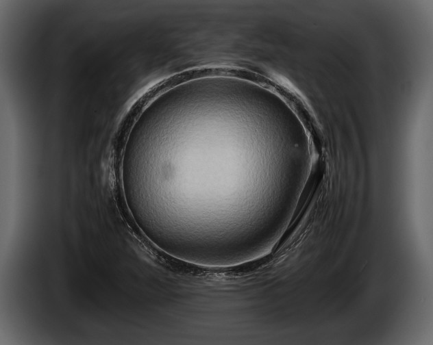 X0000085731360200703231039