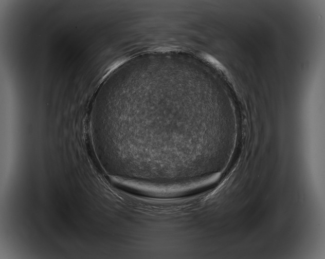 X0000085731361200703231039