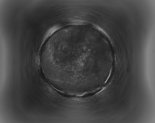 X0000085731362200703231039