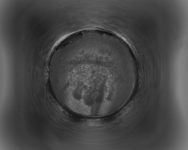 X0000085731363200703231039