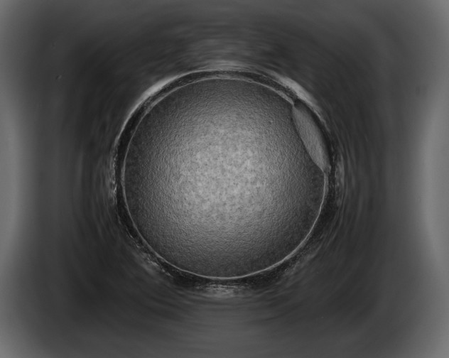 X0000085731364200703231039