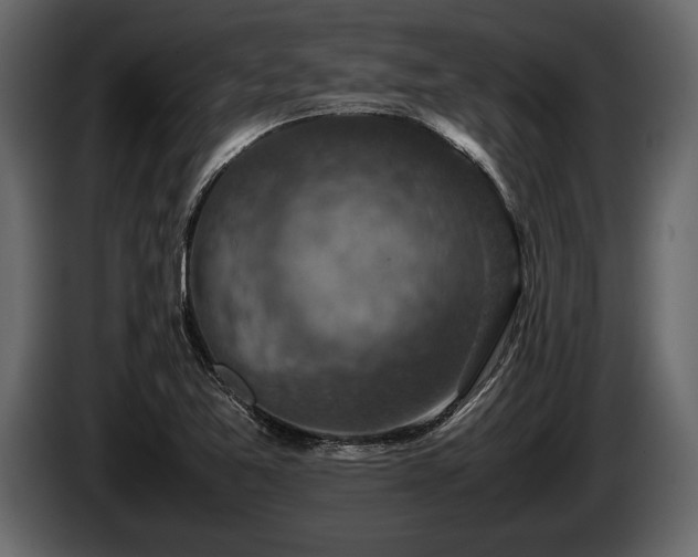 X0000085731365200703231039