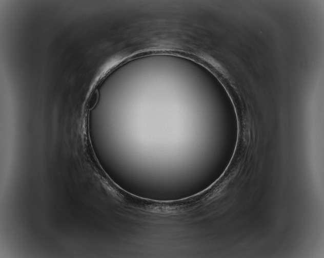 X0000085731366200703231039