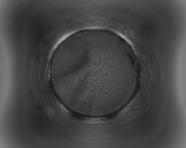 X0000085731367200703231039