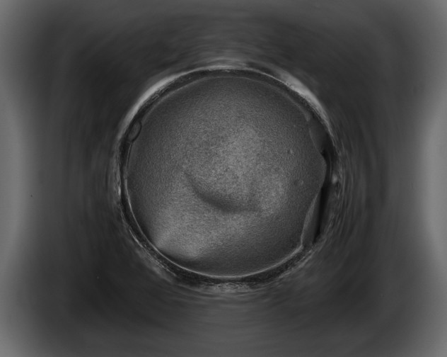 X0000085731368200703231039