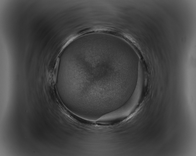 X0000085731369200703231039