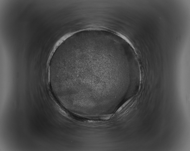 X0000085731371200703231039