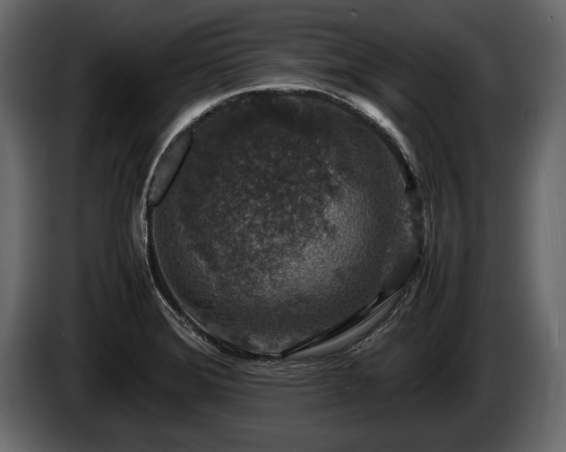 X0000085731372200703231039