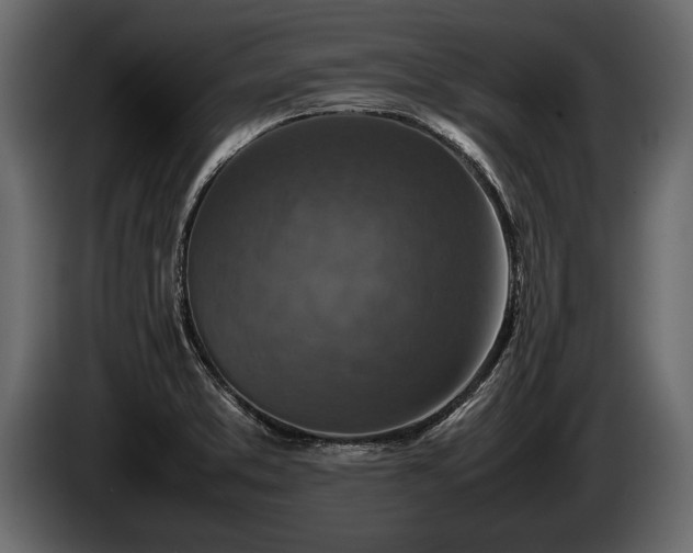 X0000085731373200703231039