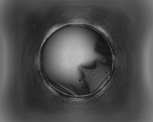 X0000085731374200703231039