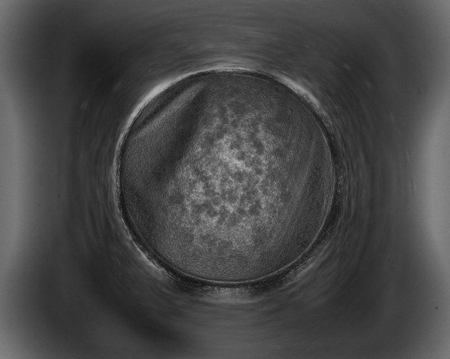 X0000085731375200703231039