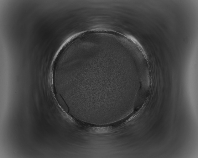 X0000085731376200703231039