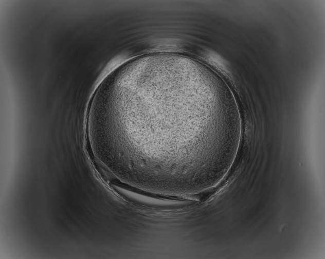 X0000085731378200703231039