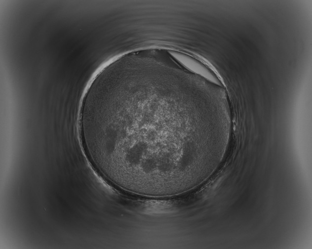 X0000085731379200703231039