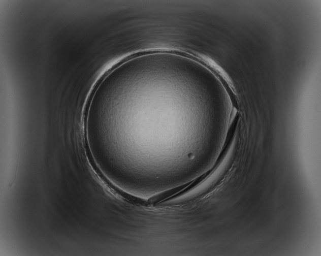 X0000085731380200703231039