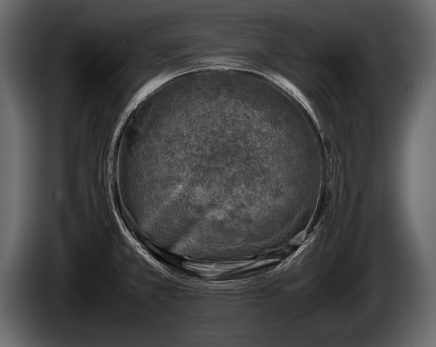 X0000085731381200703231039